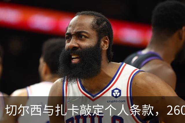 切尔西与扎卡敲定个人条款，2600万镑报价等待桑德兰放行